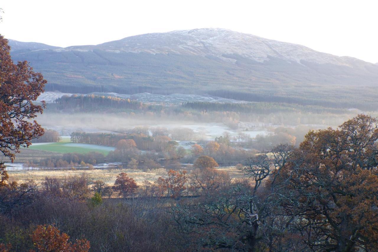 Cosy Rowan Woodland No3 Killin
