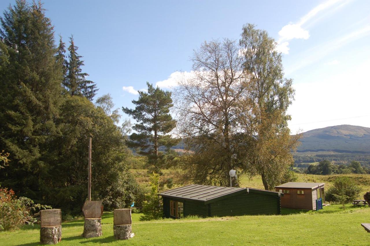 Cosy Rowan Woodland No3 Killin