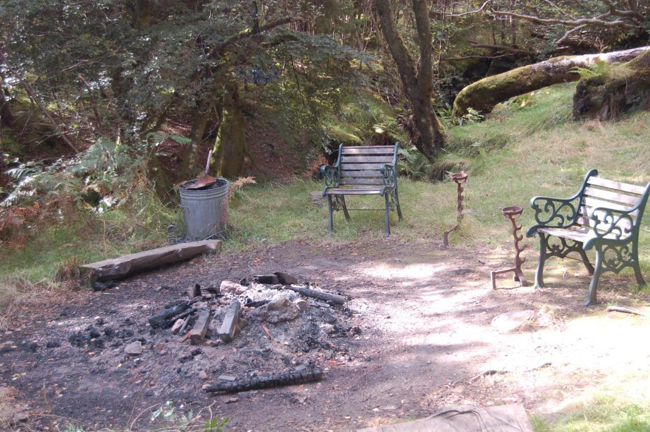 Lodge Cosy Rowan Woodland No3 Killin