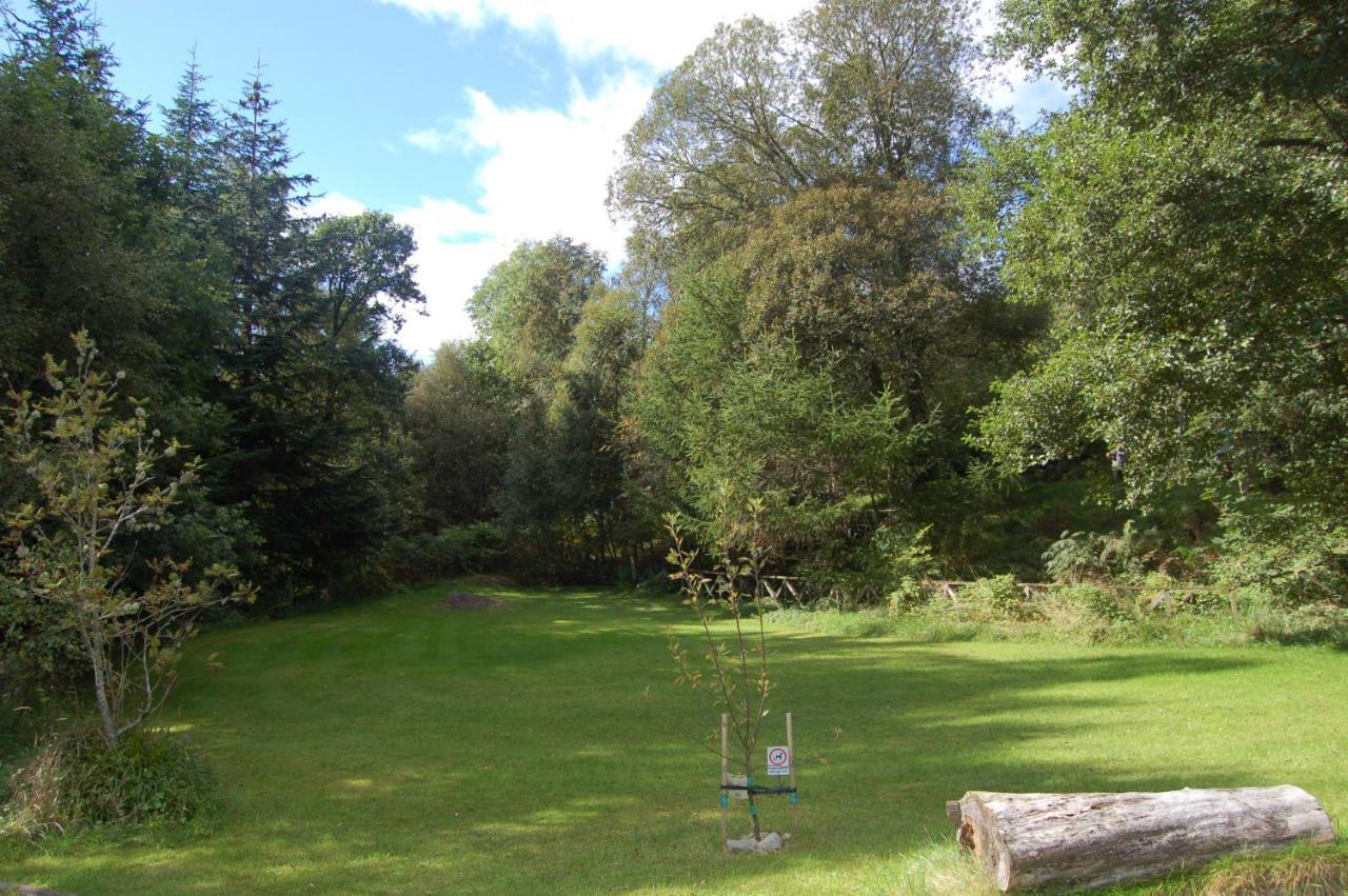 Alojamento de Turismo Selvagem Cosy Rowan Woodland No3 *