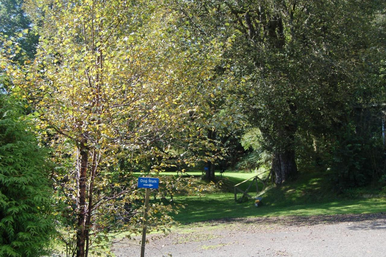 Cosy Rowan Woodland No3 *