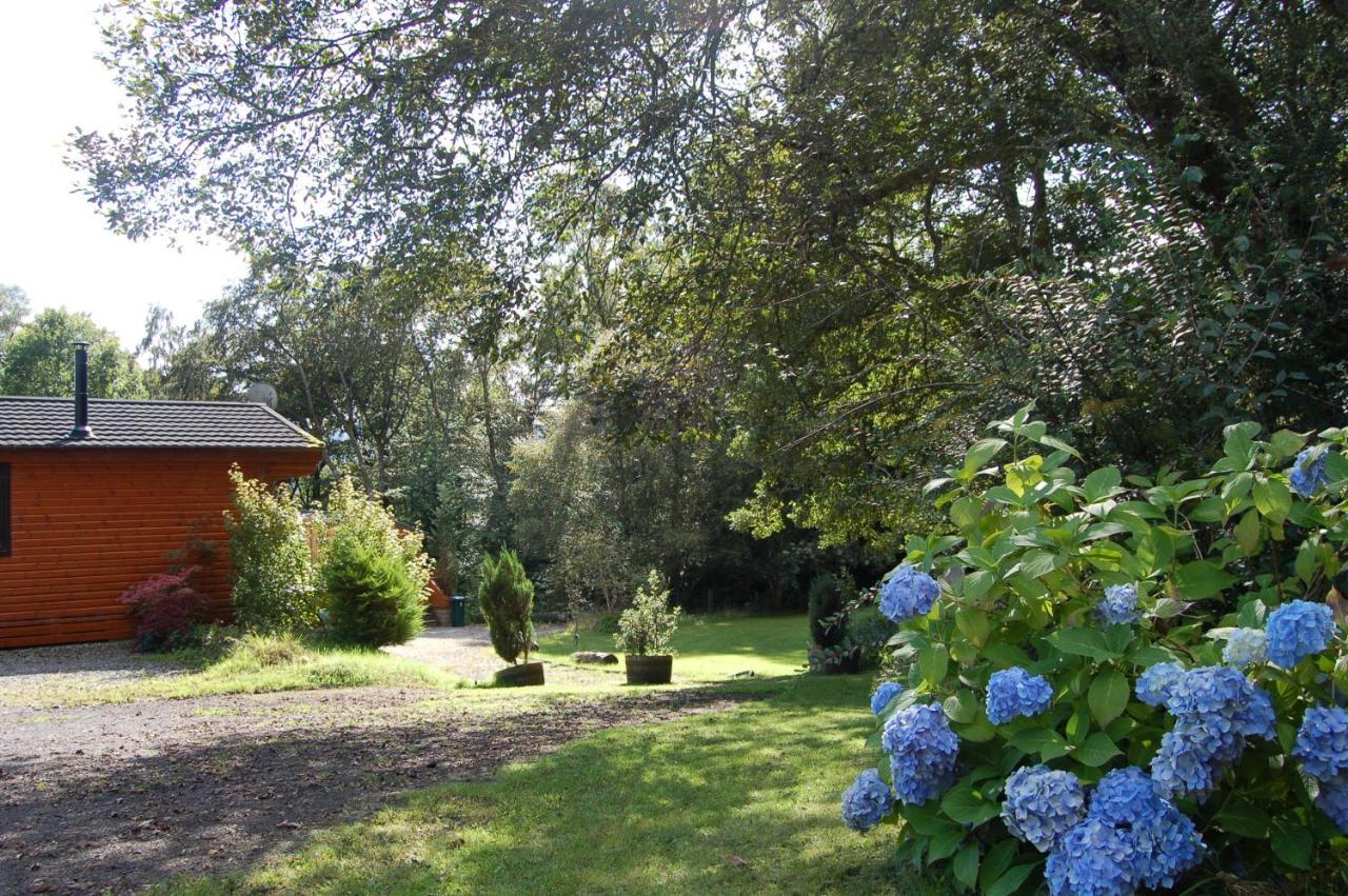 Lodge Cosy Rowan Woodland No3 Killin