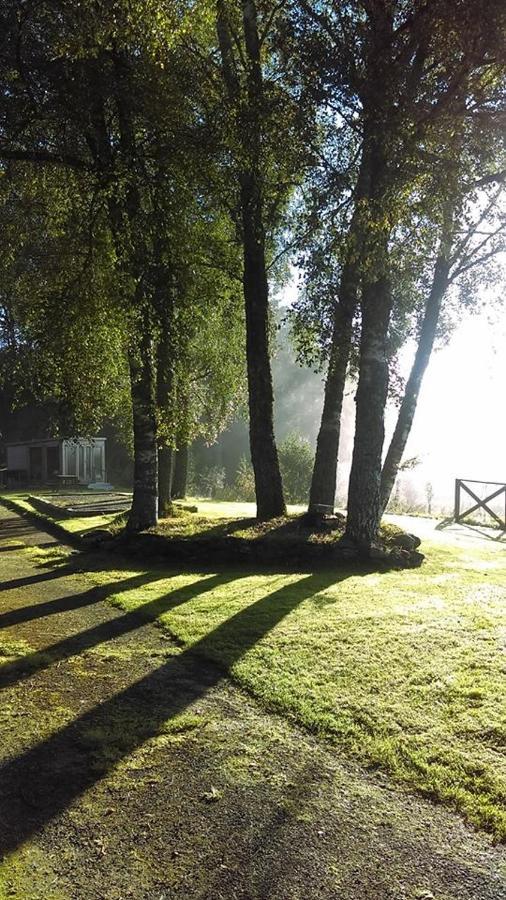 Cosy Rowan Woodland No3 Alojamento de Turismo Selvagem